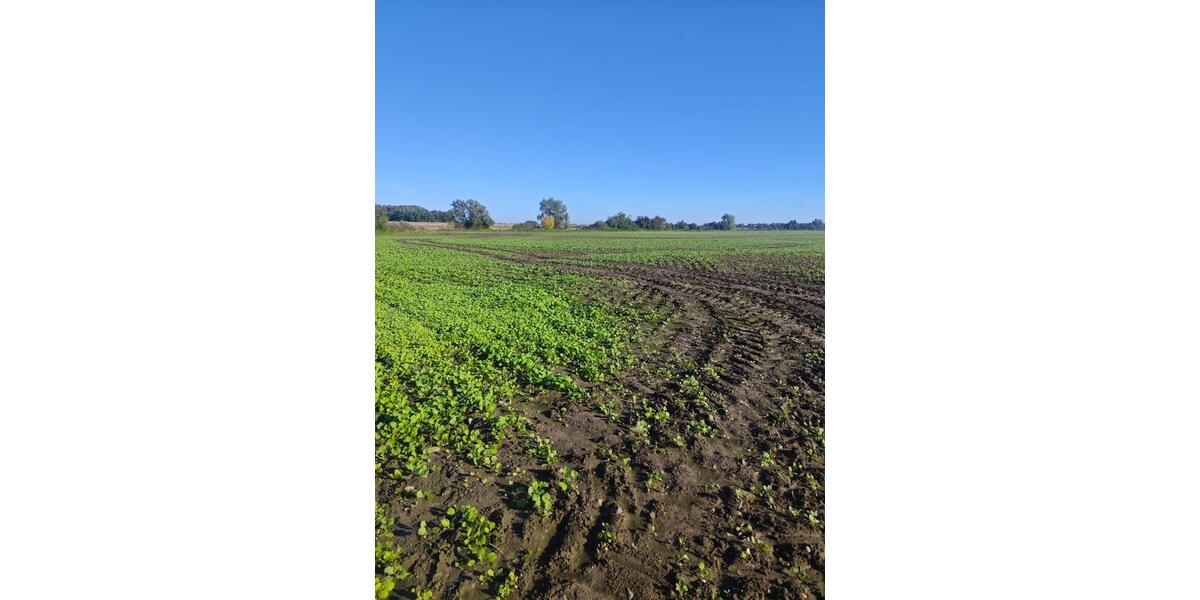 Grundstück Krefeld - 200&euro; | Angebot:25721120