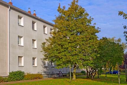 Wohnung Duisburg Huckingen - 2 Zimmer, 41 m&sup2;, 409&euro; | Angebot:22402312