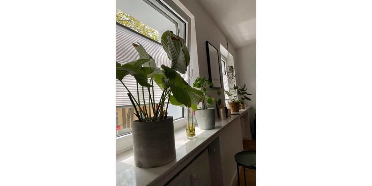 Etagenwohnung Essen Stadtbezirk II - 3.5 Zimmer, 85 m&sup2;, 355.000&euro; | Angebot:26967131