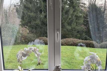 Wohnung Solingen Wald - 2 Zimmer, 55 m&sup2;, 515&euro; | Angebot:25848790