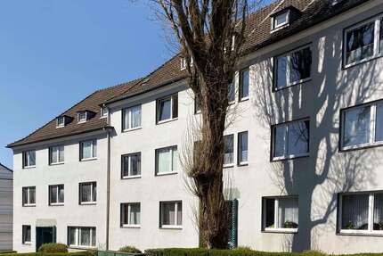 Wohnung Wuppertal Gemarkung Elberfeld - 2 Zimmer, 62 m&sup2;, 528&euro; | Angebot:24704267