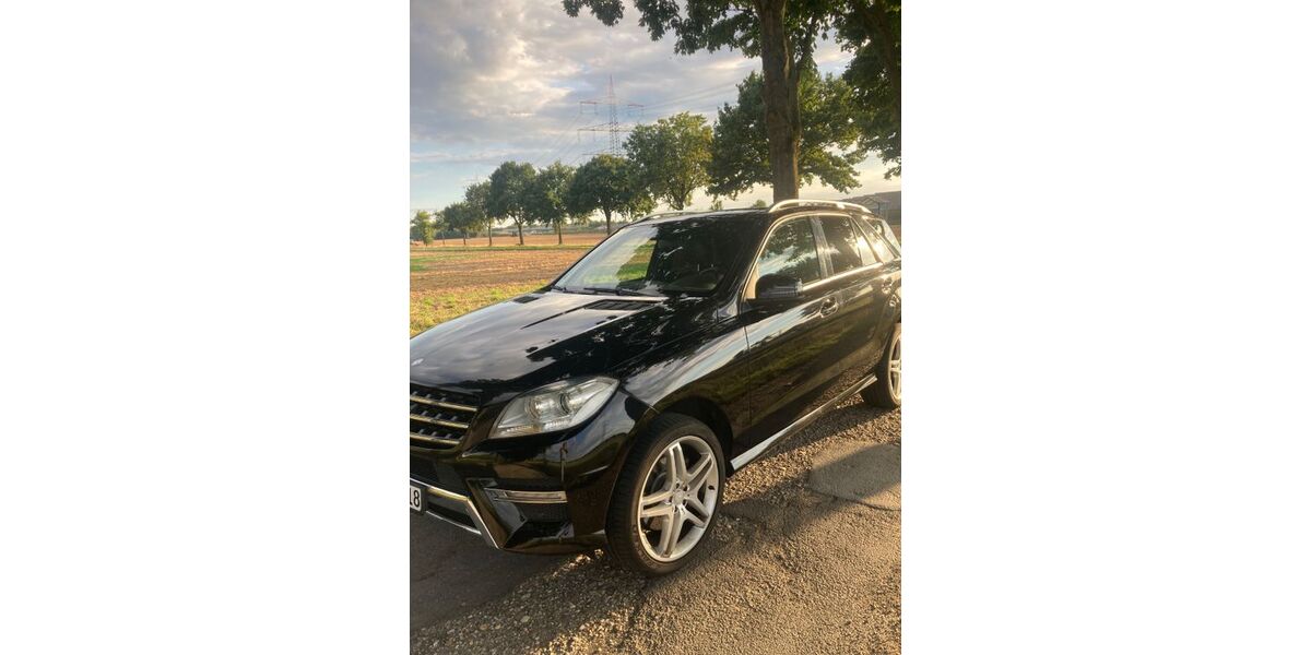 Mercedes-Benz ML 350 247.500 km 14.250 &euro; Meerbusch 40670