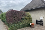 Traumhaus sucht geduldigen Käufer - Einfamilienhaus Dormagen Hackenbroich | Angebot:27452102
