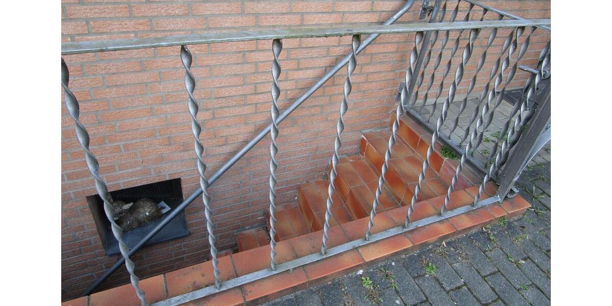 Einfamilienhaus Düsseldorf Stadtbezirk 5 - 6 Zimmer, 130 m&sup2;, 12.345.678&euro; | Angebot:26024434