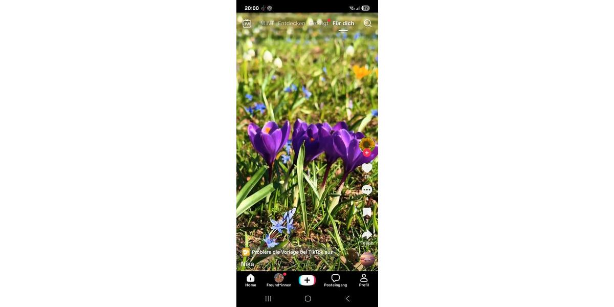 Etagenwohnung Krefeld Cracau - 4 Zimmer, 108 m&sup2;, 395.000&euro; | Angebot:26033191