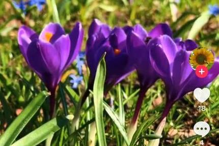 Wohnung Krefeld Cracau - 4 Zimmer, 108 m&sup2;, 395.000&euro; | Angebot:26033191