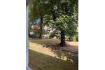 Hochparterre Mülheim an der Ruhr Menden-Holthausen - 2 Zimmer, 56 m&sup2;, 560&euro; | Angebot:27532867