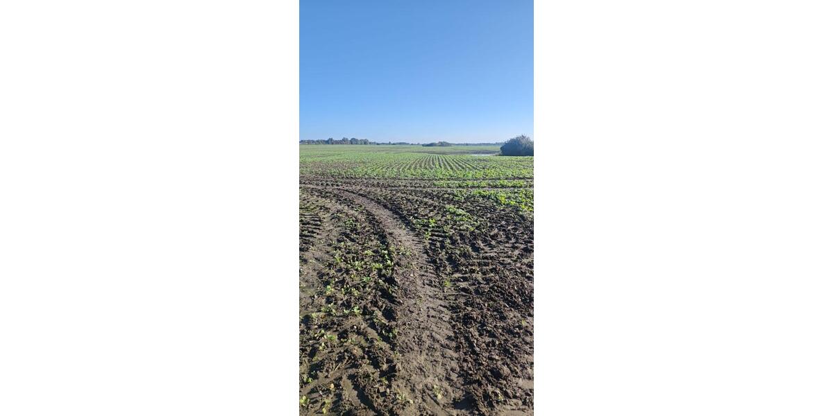 Grundstück Krefeld - 200&euro; | Angebot:25721120