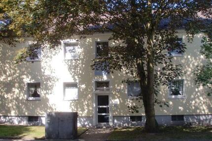Wohnung Gelsenkirchen Gelsenkirchen-Nord - 2.5 Zimmer, 53 m&sup2;, 296&euro; | Angebot:25809424
