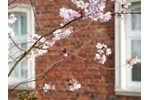 Einfamilienhaus Düsseldorf Stadtbezirk 9 - 5 Zimmer, 130 m&sup2;, 1.185.000&euro; | Angebot:27194378