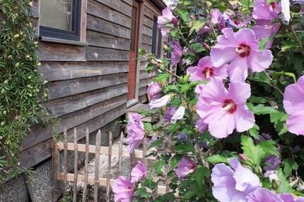 Grundstück Willich - 10.000&euro; | Angebot:23142554