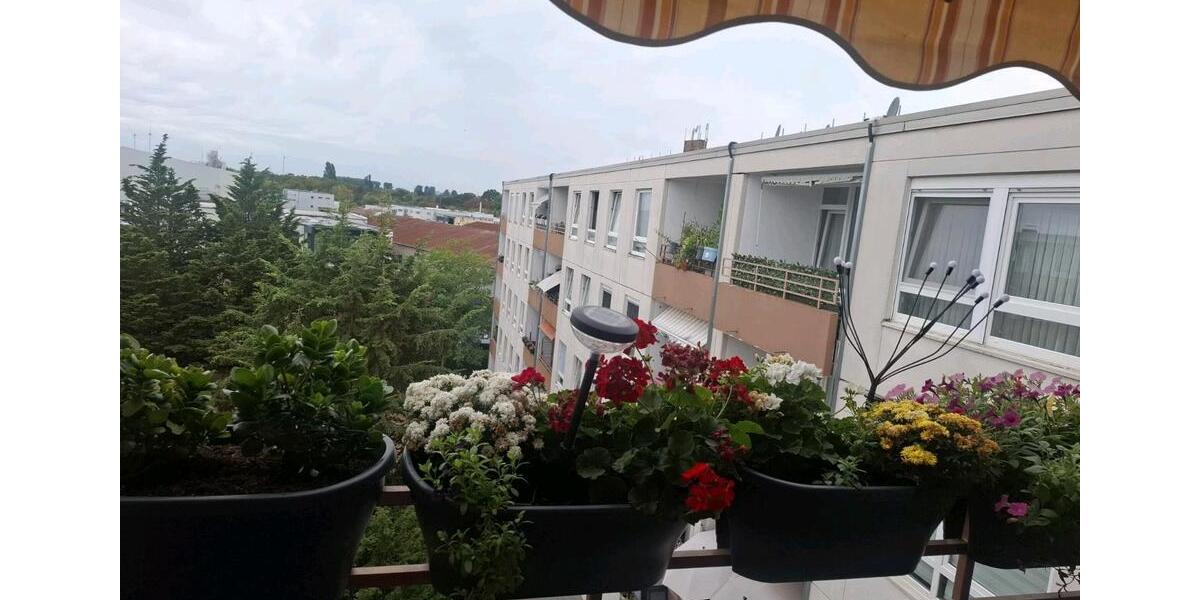 Etagenwohnung Neuss Erfttal - 1 Zimmer, 85 m&sup2;, 240.000&euro; | Angebot:27458654