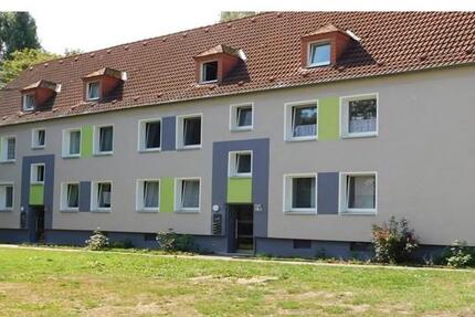 Wohnung Essen Stadtbezirk VI - 1.5 Zimmer, 36 m&sup2;, 489&euro; | Angebot:25881156