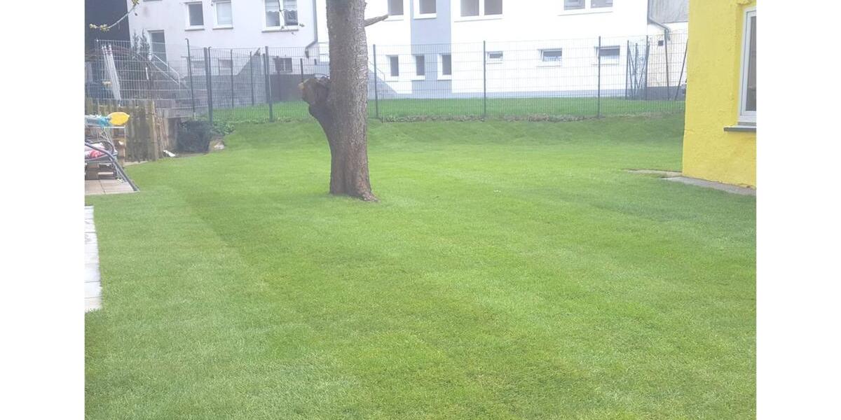 Etagenwohnung Remscheid Remscheid-Süd - 1 Zimmer, 32 m&sup2;, 340&euro; | Angebot:25916591