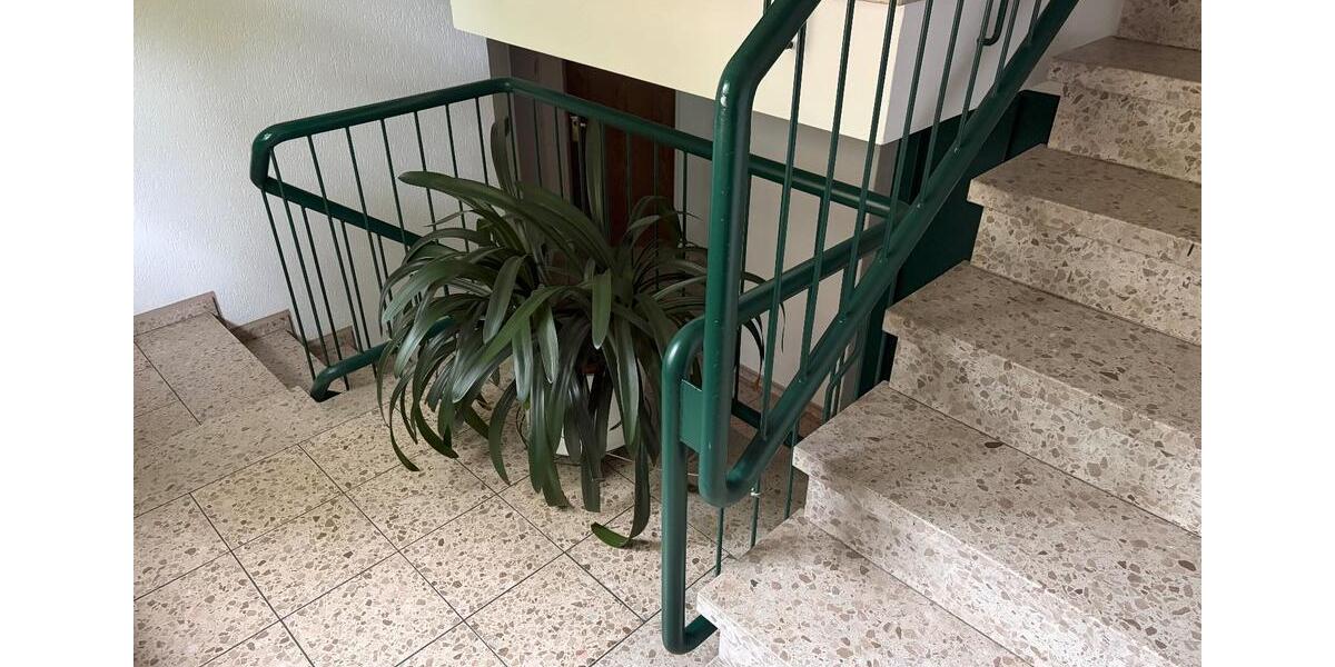 Etagenwohnung Essen Stadtbezirk II - 1 Zimmer, 50 m&sup2;, 470&euro; | Angebot:27541539