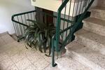 Etagenwohnung Essen Stadtbezirk II - 1 Zimmer, 50 m&sup2;, 470&euro; | Angebot:27541539