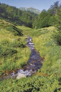 Einfamilienhaus Oberhausen Alstaden - 3 Zimmer, 75 m&sup2;, 57.000&euro; | Angebot:24830254