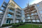 Etagenwohnung Düsseldorf Stadtbezirk 2 - 1 Zimmer, 24 m&sup2;, 867&euro; | Angebot:24748867