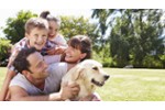 Baugrundstück in Mettmann-West - Grundstück Mettmann | Angebot:27219315