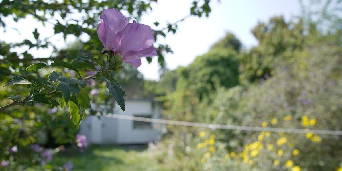 Einfamilienhaus Düsseldorf Urdenbach - 4 Zimmer, 145 m&sup2;, 325.000&euro; | Angebot:25837321