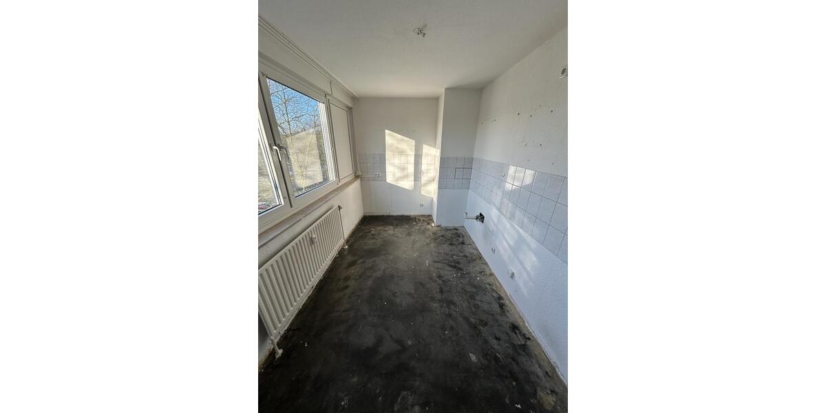 Etagenwohnung Essen Stadtbezirk V - 3.5 Zimmer, 80 m&sup2;, 528&euro; | Angebot:25643768