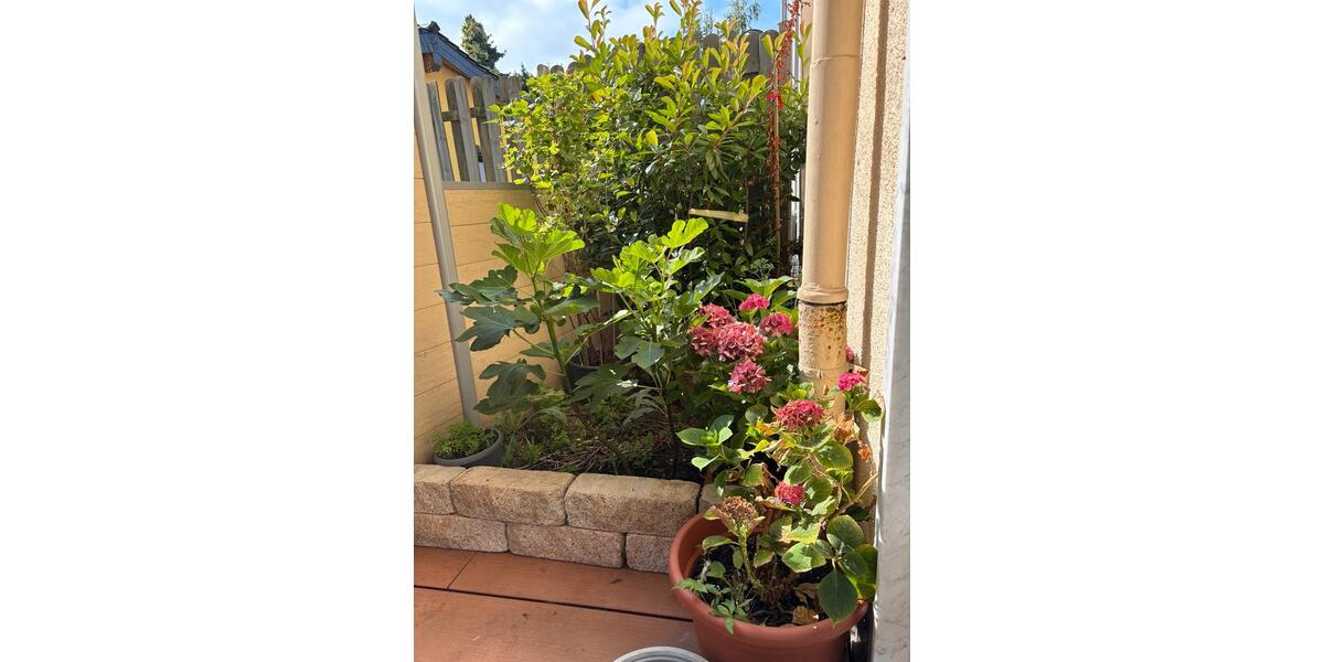 Erdgeschoßwohnung Solingen Ohligs - 2 Zimmer, 65 m&sup2;, 1.100&euro; | Angebot:25906213