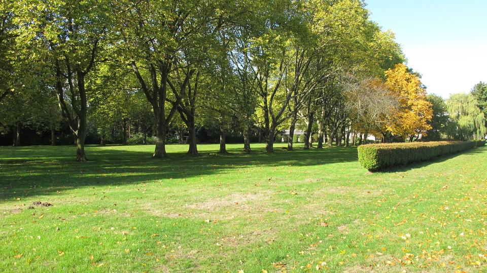 Terrassenwohnung Bottrop - 1 Zimmer, 40 m&sup2;, 540&euro; | Angebot:25962519