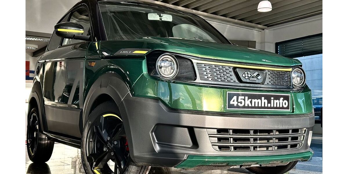 Ligier Myli 1.111 km 18.490 &euro; Dormagen 41540