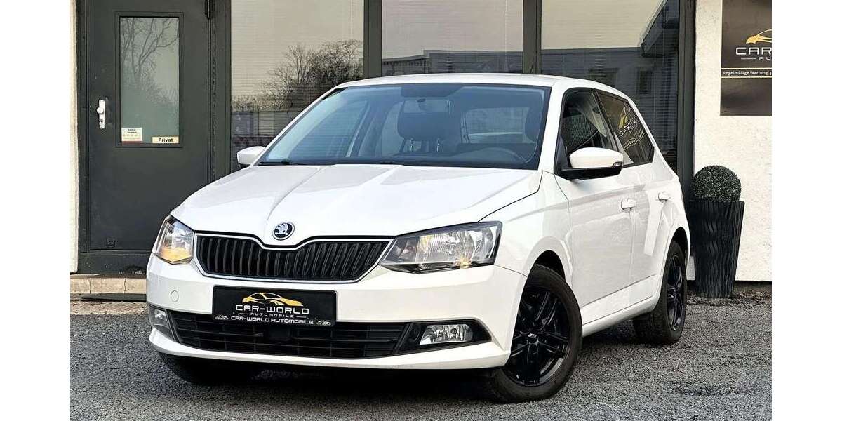 Skoda Fabia 135.748 km 7.999 &euro; Duisburg 47167