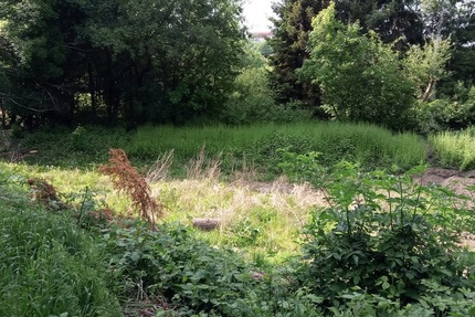 Förderungsprojekt Grundstück für Einfamilienhaus für Familien mit Kindern (DHH) Essen-Werden - Grundstück Essen Werden | Angebot:25569677