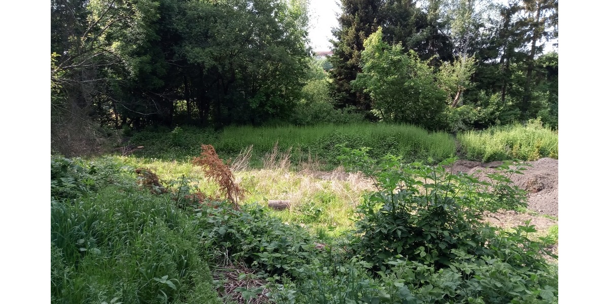 Förderungsprojekt Grundstück für Einfamilienhaus für Familien mit Kindern (DHH) Essen-Werden - Grundstück Essen Werden | Angebot:25569677