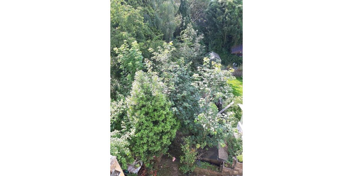 Einfamilienhaus Duisburg Laar - 199.000&euro; | Angebot:27208951