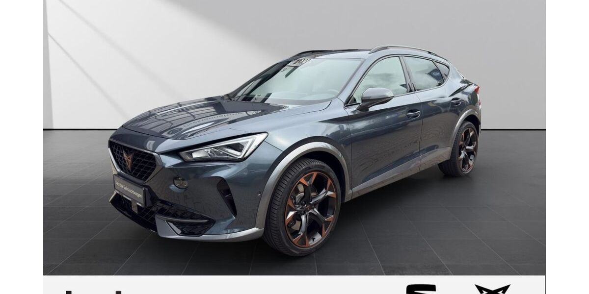 Cupra Formentor 46.297 km 28.890 &euro; Solingen 42719