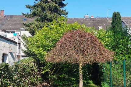 Haus Mönchengladbach Süd - 5 Zimmer, 129 m&sup2;, 225.000&euro; | Angebot:25350061