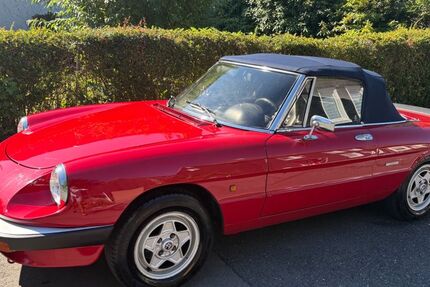 Alfa Romeo Spider 142.000 km 12.895 &euro; Remscheid 42859
