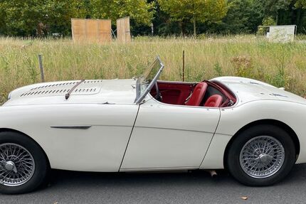 Austin Healey Andere 53.000 km 62.000 &euro; Kaarst 41564