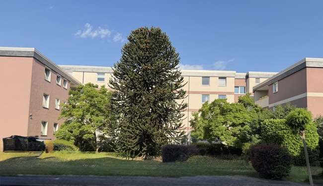 Etagenwohnung Duisburg Essenberg - 3 Zimmer, 75 m&sup2;, 149.900&euro; | Angebot:26931944