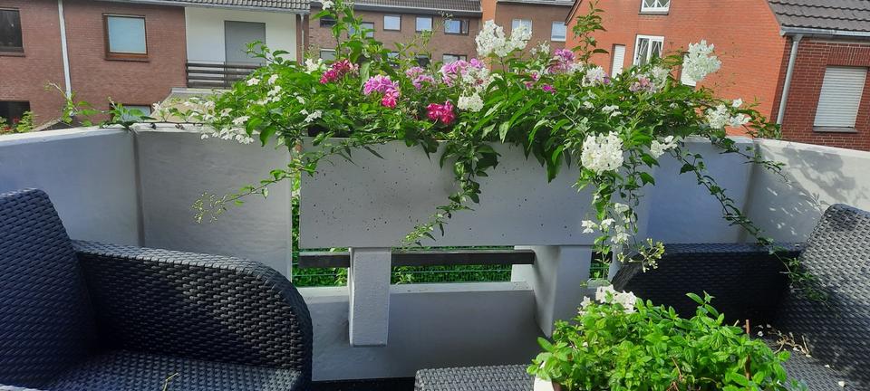 Etagenwohnung Moers - 2.5 Zimmer, 45 m&sup2;, 520&euro; | Angebot:25944951