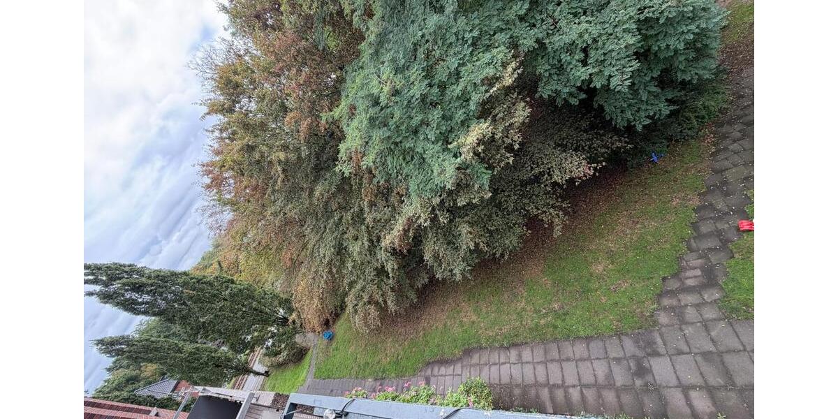 Etagenwohnung Duisburg Hamborn - 2 Zimmer, 60 m&sup2;, 750&euro; | Angebot:27541591