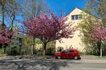 Etagenwohnung Mülheim an der Ruhr Broich - 1 Zimmer, 35 m&sup2;, 510&euro; | Angebot:27564935