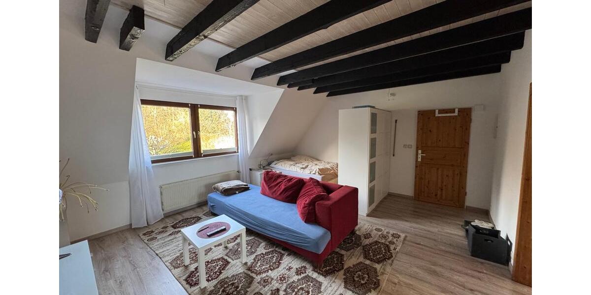 Etagenwohnung Essen Stadtbezirk IX - 1 Zimmer, 37 m&sup2;, 370&euro; | Angebot:25127438