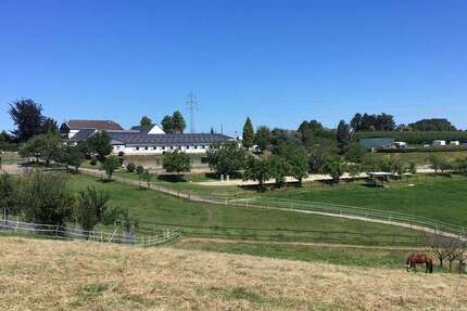 Sonstige Burscheid - 1.985.000&euro; | Angebot:25203766