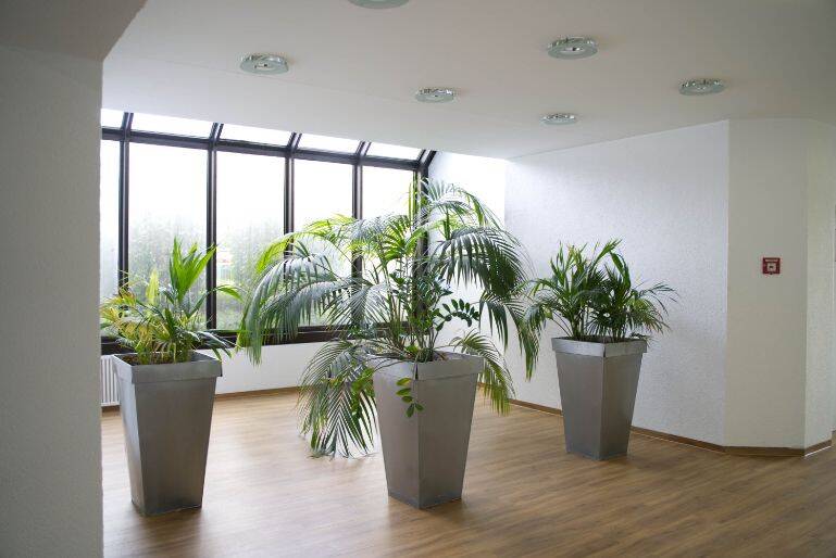 Gewerbeobjekt Düsseldorf Mörsenbroich - 214&euro; | Angebot:25970732