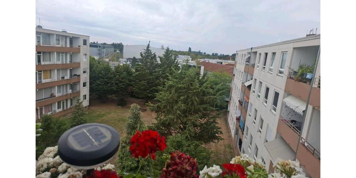 Etagenwohnung Neuss Erfttal - 1 Zimmer, 85 m&sup2;, 240.000&euro; | Angebot:27458654
