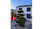 Reihenhaus Krefeld Benrad - 6 Zimmer, 145 m&sup2;, 499.000&euro; | Angebot:27198084