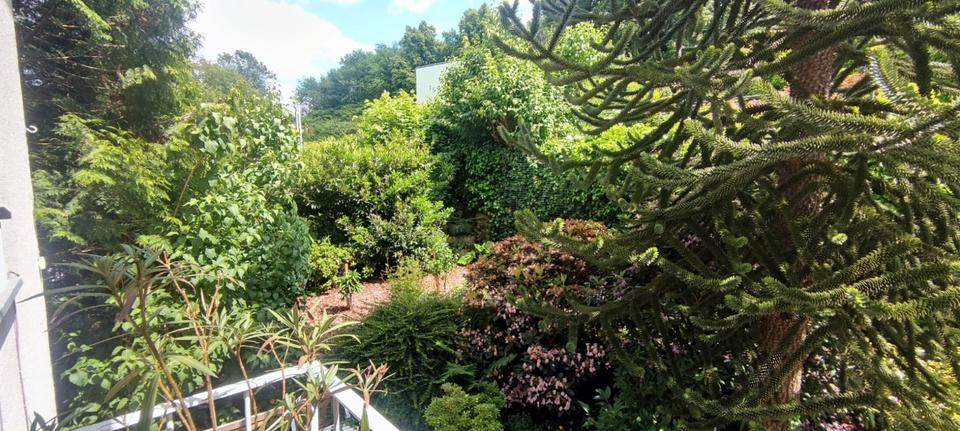 Etagenwohnung Wuppertal Gemarkung Barmen - 3 Zimmer, 85 m&sup2;, 180.000&euro; | Angebot:26822549
