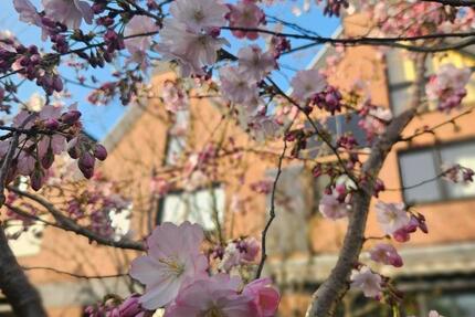 Haus Hilden Kalstert - 6 Zimmer, 168 m&sup2;, 580.000&euro; | Angebot:24832240