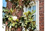 Einfamilienhaus Düsseldorf Stadtbezirk 9 - 5 Zimmer, 130 m&sup2;, 1.185.000&euro; | Angebot:27194378