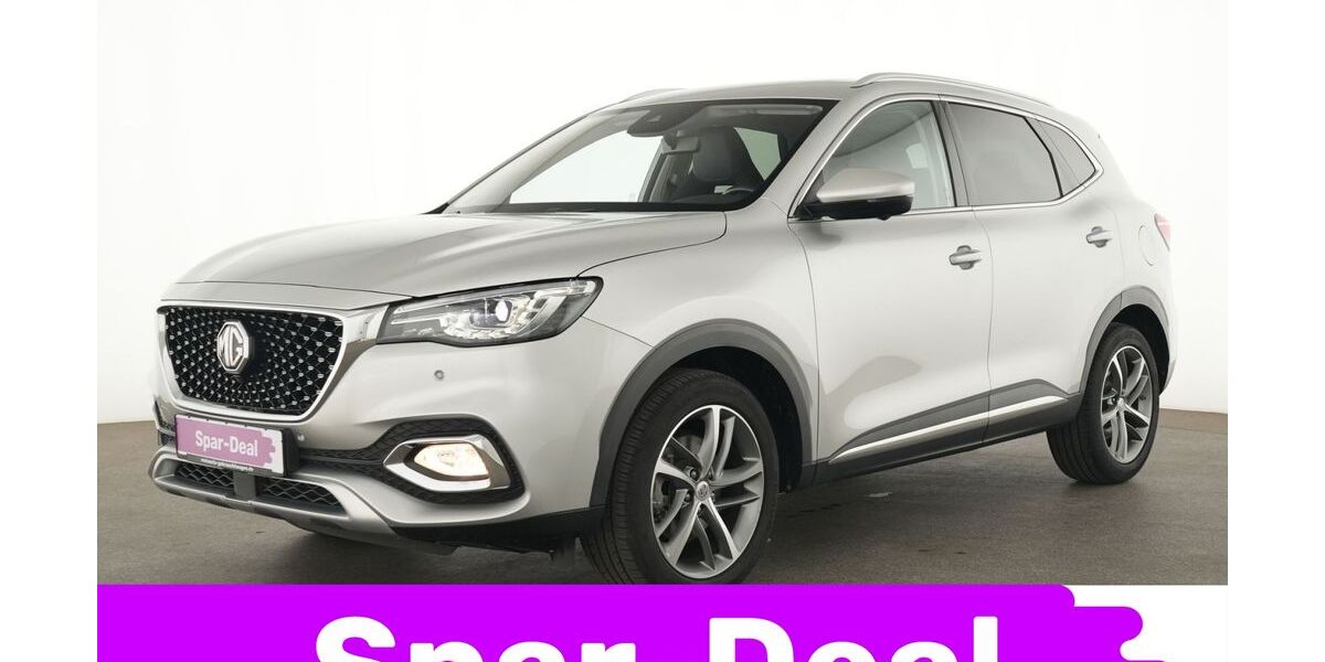 MG HS 45.135 km 18.949 &euro; Neuss 41460