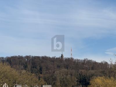 PERFEKTE WOHNLAGE UND UNVERBAUBARE FERNSICHT - Grundstück Velbert Langenberg | Angebot:27194550